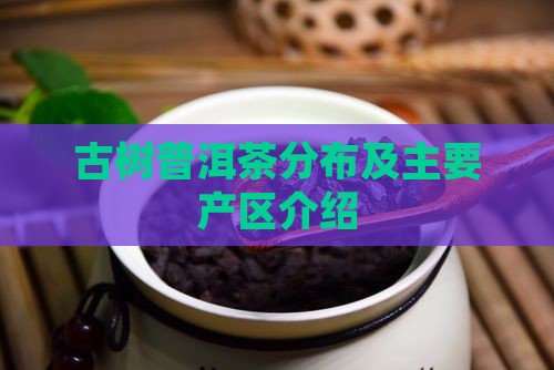 古树普洱茶分布