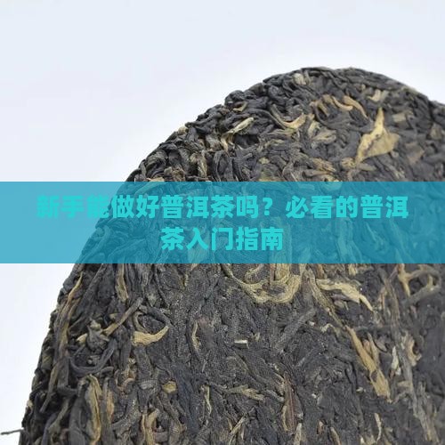新手能做好普洱茶吗
