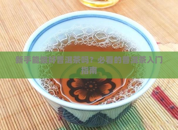 新手能做好普洱茶吗