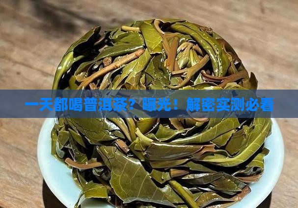 可以一天都喝普洱茶吗