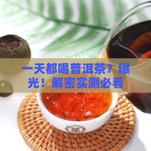 可以一天都喝普洱茶吗
