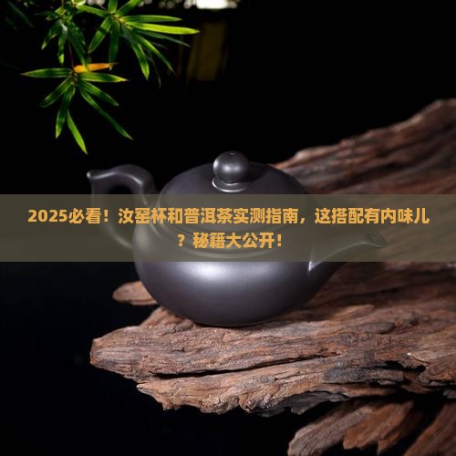 汝窑杯和普洱茶