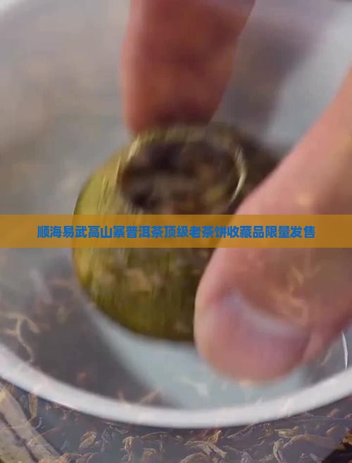顺海易武高山寨普洱茶