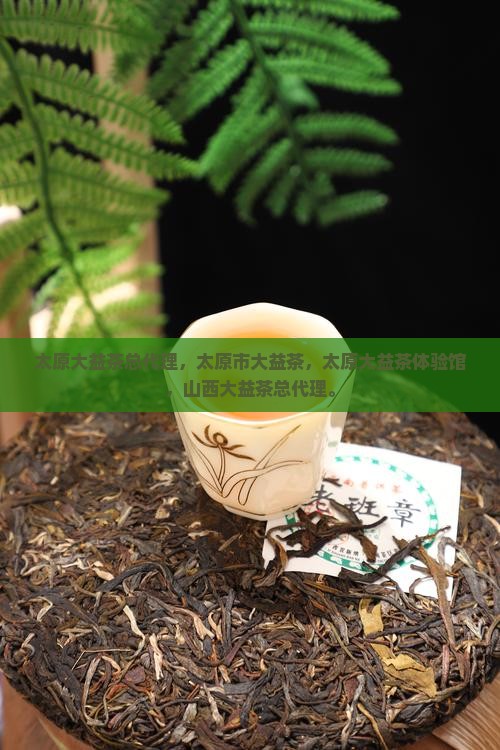 太原大益茶总代理