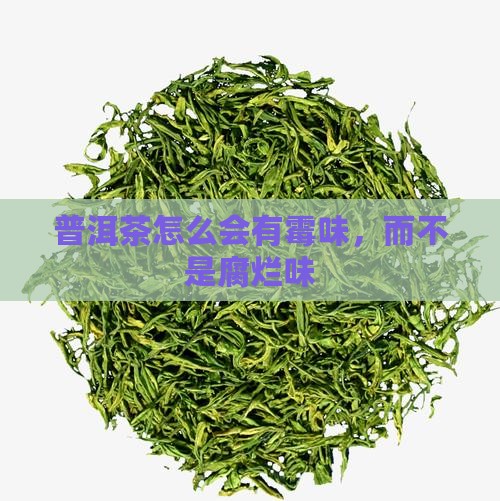 普洱茶怎么有股腐烂味