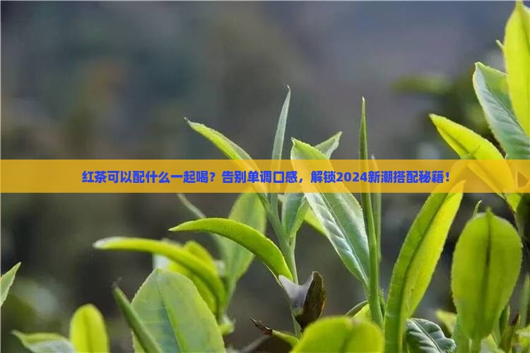 红茶可以配什么一起喝
