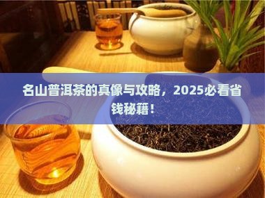 什么叫名山普洱茶