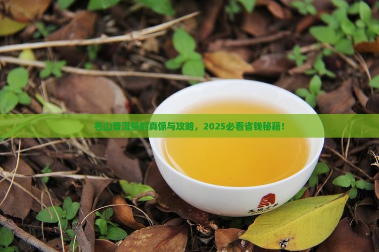 什么叫名山普洱茶