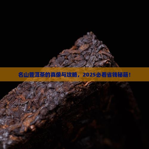 什么叫名山普洱茶