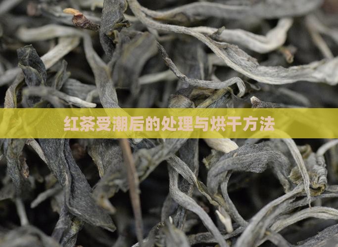 红茶受潮了再烘干