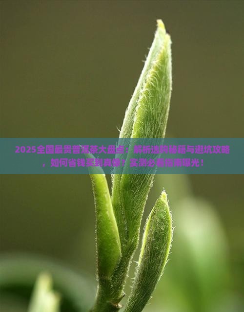 全国最贵的普洱茶品牌