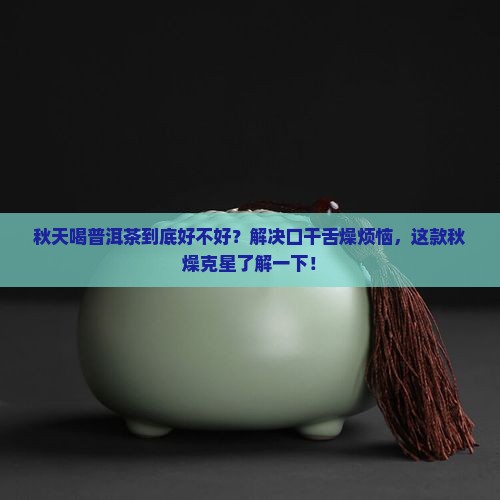 适合秋天喝的普洱茶
