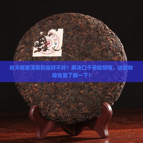 适合秋天喝的普洱茶