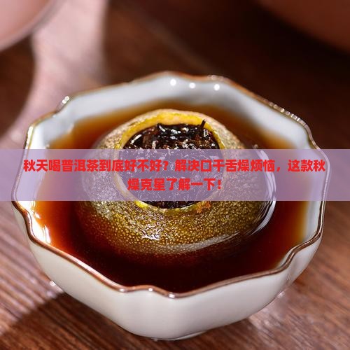 适合秋天喝的普洱茶