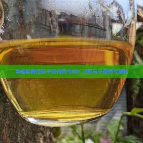 中老期普洱茶干茶有香气吗
