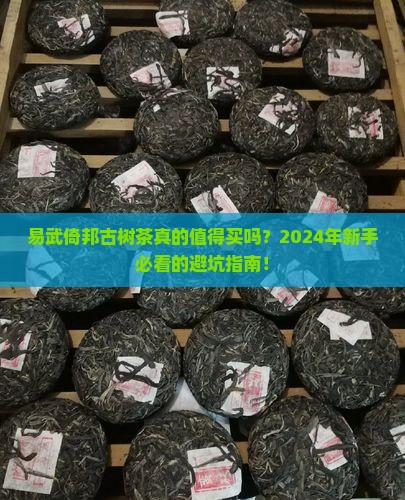 易武倚邦古树茶
