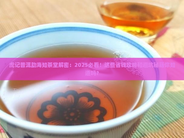 虎记普洱勐海知茶堂