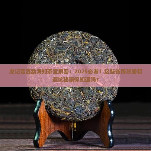 虎记普洱勐海知茶堂