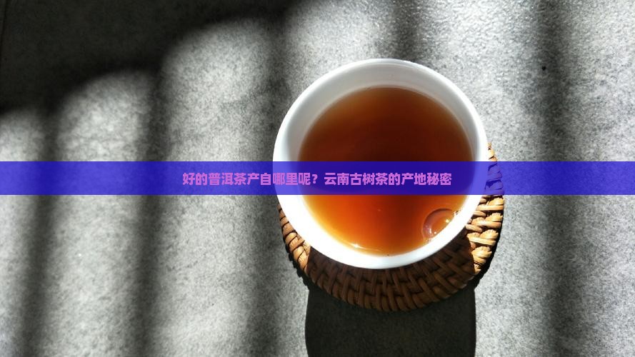 好的普洱茶产自哪里呢