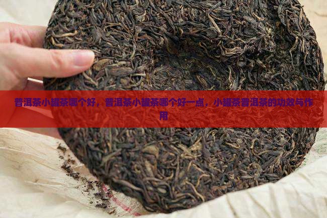 普洱茶小罐茶哪个品牌好