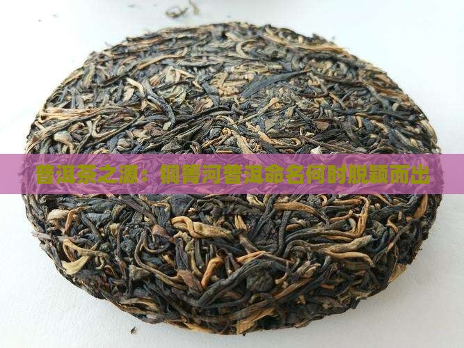 普洱茶之源：铜箐河普洱命名何时脱颖而出