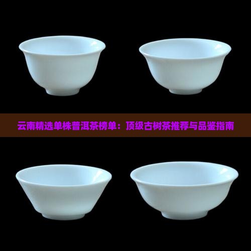 云南精选单株普洱茶榜单：顶级古树茶推荐与品鉴指南