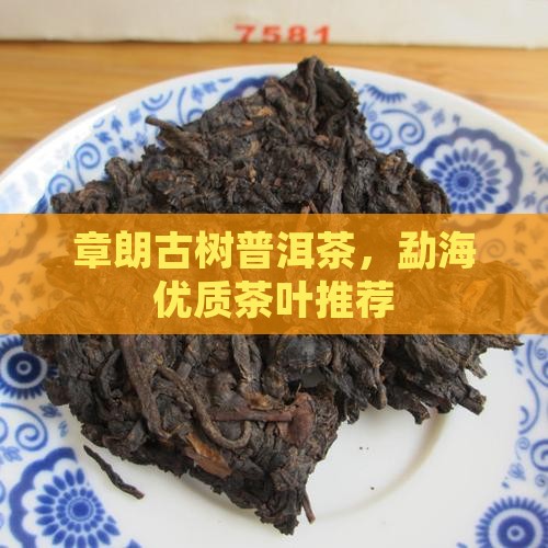 章朗古树普洱茶，勐海优质茶叶推荐