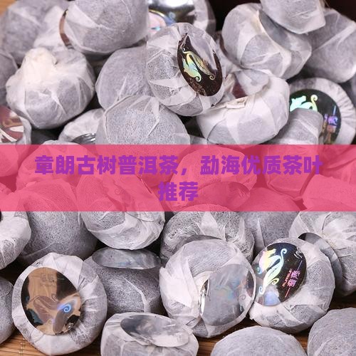 章朗古树普洱茶，勐海优质茶叶推荐
