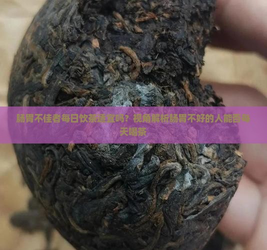 肠胃不佳者每日饮茶适宜吗？视角解析肠胃不好的人能否每天喝茶