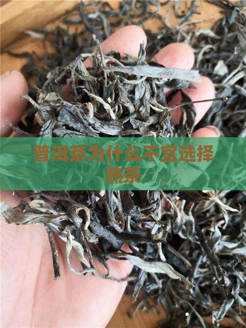 普洱茶为什么不宜选择熟茶