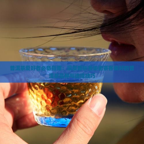 普洱茶爱好者必备指南:深度解析各类老茶客偏好的普洱茶品种与选择技巧 普洱茶爱好者必备指南:深度解析各类老茶客偏好的普洱茶品种与选择技巧