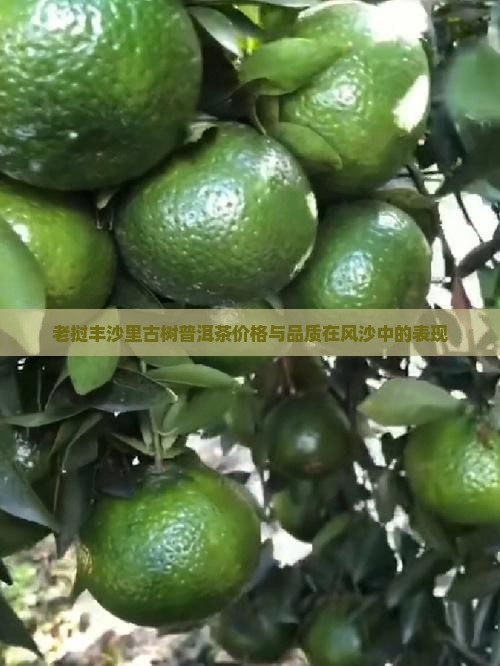 老挝丰沙里古树普洱茶价格与品质在风沙中的表现 老挝丰沙里古树普洱茶价格与品质在风沙中的表现