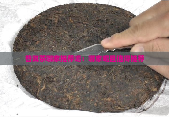 普洱茶哪家推荐喝:哪家喝且值得推荐 普洱茶哪家推荐喝:哪家喝且值得推荐