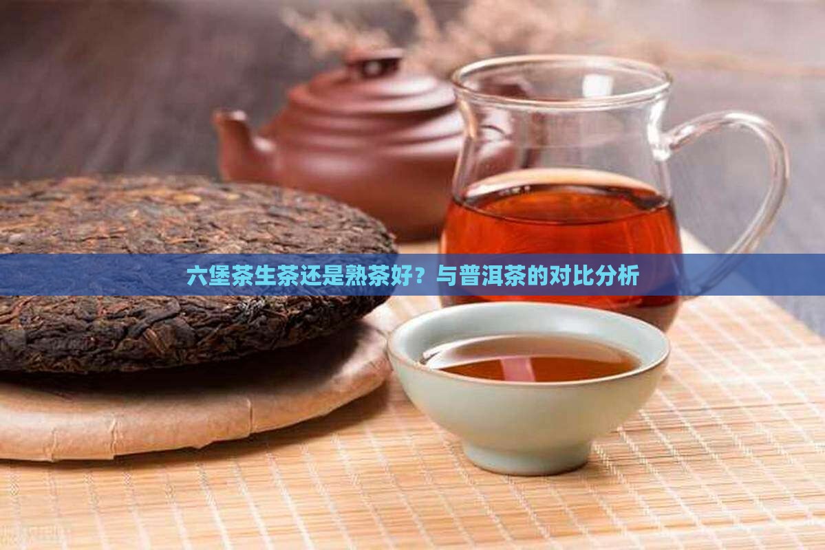 六堡茶生茶还是熟茶好？与普洱茶的对比分析