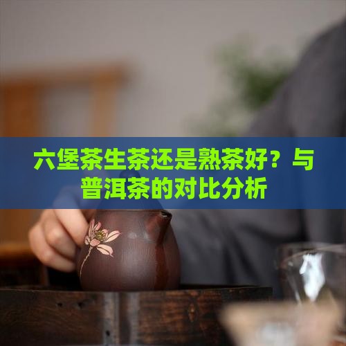 六堡茶生茶还是熟茶好？与普洱茶的对比分析