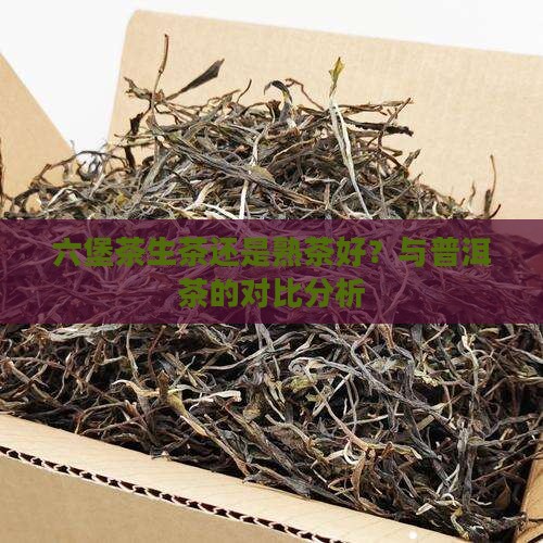 六堡茶生茶还是熟茶好？与普洱茶的对比分析