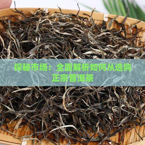 探秘市场：全面解析如何从选购正宗普洱茶