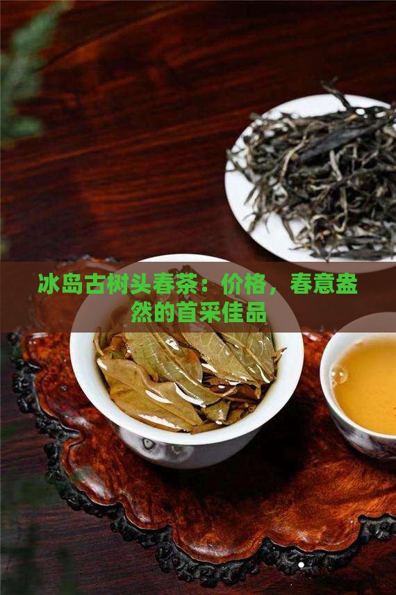 冰岛古树头春茶：价格，春意盎然的首采佳品