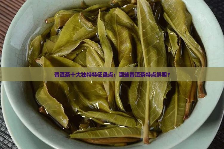普洱茶十大独特特征盘点：哪些普洱茶特点鲜明？