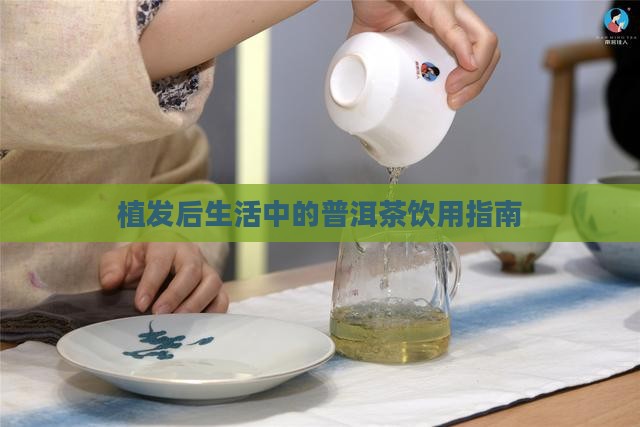 植发后生活中的普洱茶饮用指南