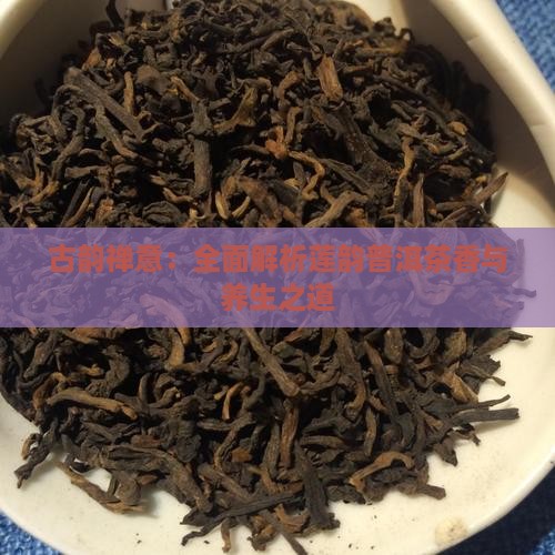 古韵禅意：全面解析莲韵普洱茶香与养生之道