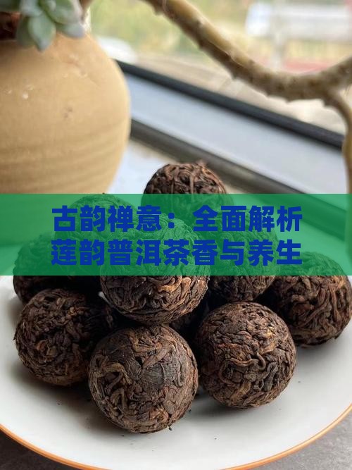 古韵禅意：全面解析莲韵普洱茶香与养生之道