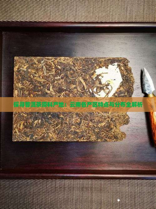 探寻普洱茶原料产地：云南各产区特点与分布全解析