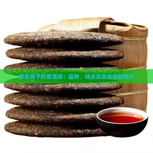 紫色袋子的普洱茶：品种、特点及紫色包装解析