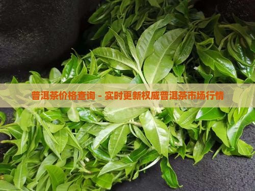 普洱茶价格查询 - 实时更新权威普洱茶市场行情