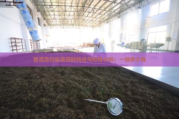 普洱昔归生茶原料特点与价格分析：一饼多少钱
