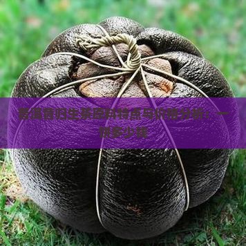 普洱昔归生茶原料特点与价格分析：一饼多少钱