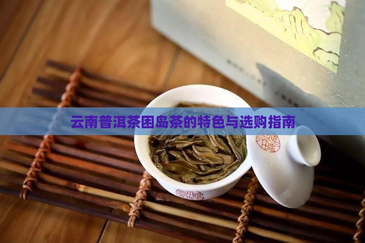 云南普洱茶困岛茶的特色与选购指南