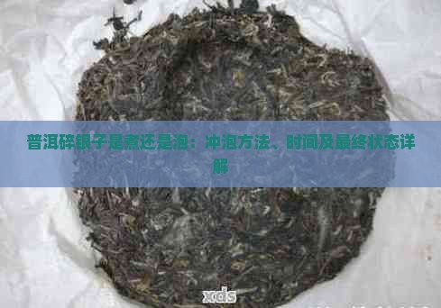 普洱碎银子是煮还是泡：冲泡方法、时间及最终状态详解