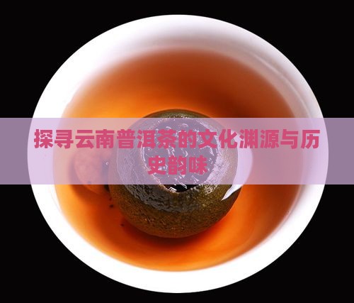 探寻云南普洱茶的文化渊源与历史韵味
